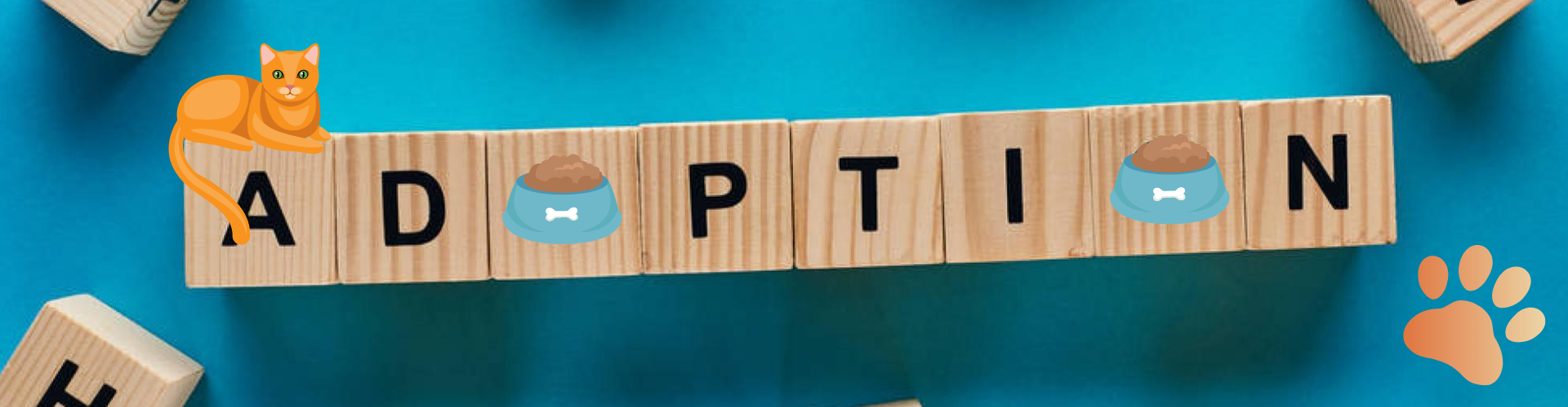 New website banner (3)