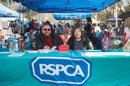 RSPCA-web-3687